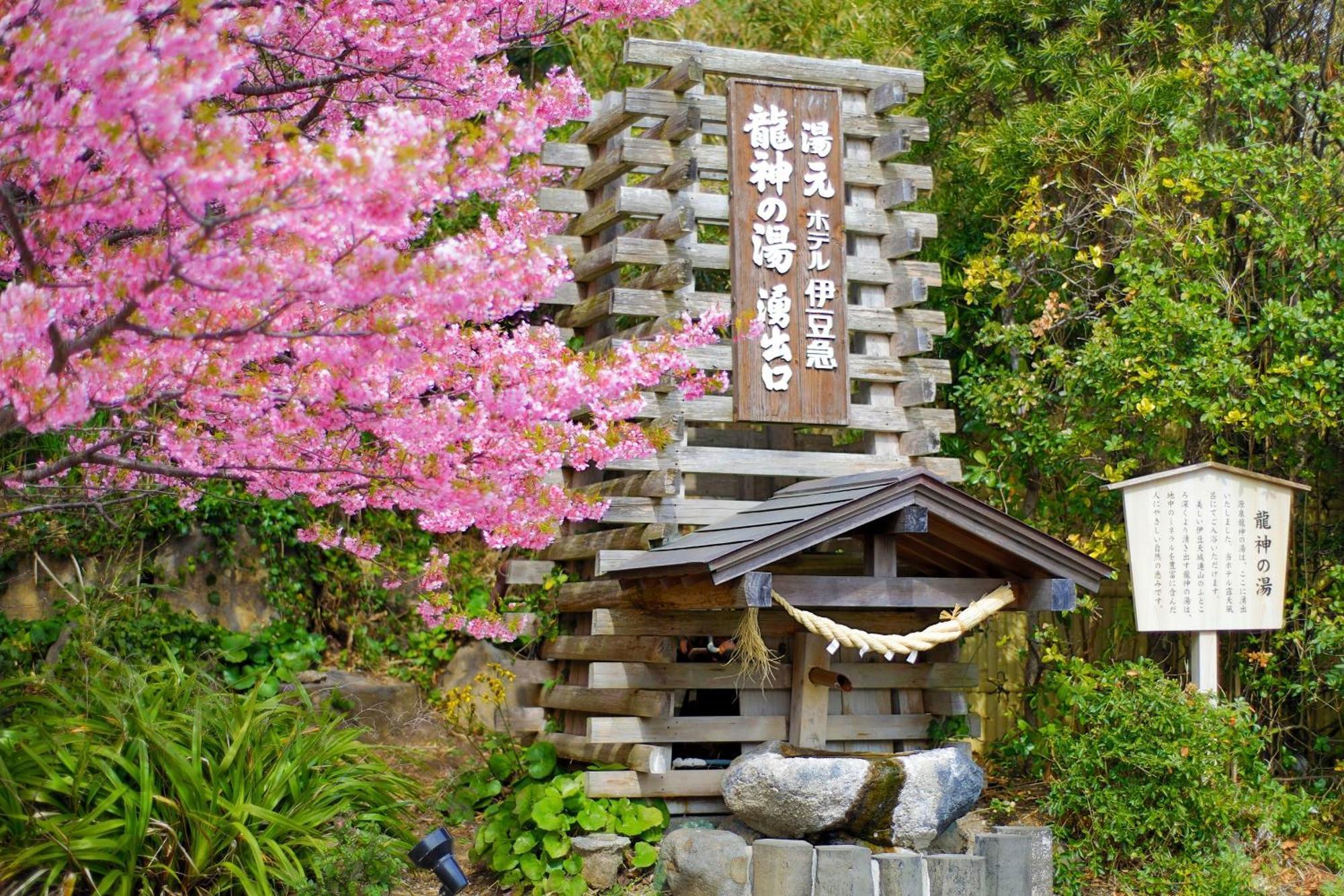 Hotel Izukyu Shizuoka Exteriör bild