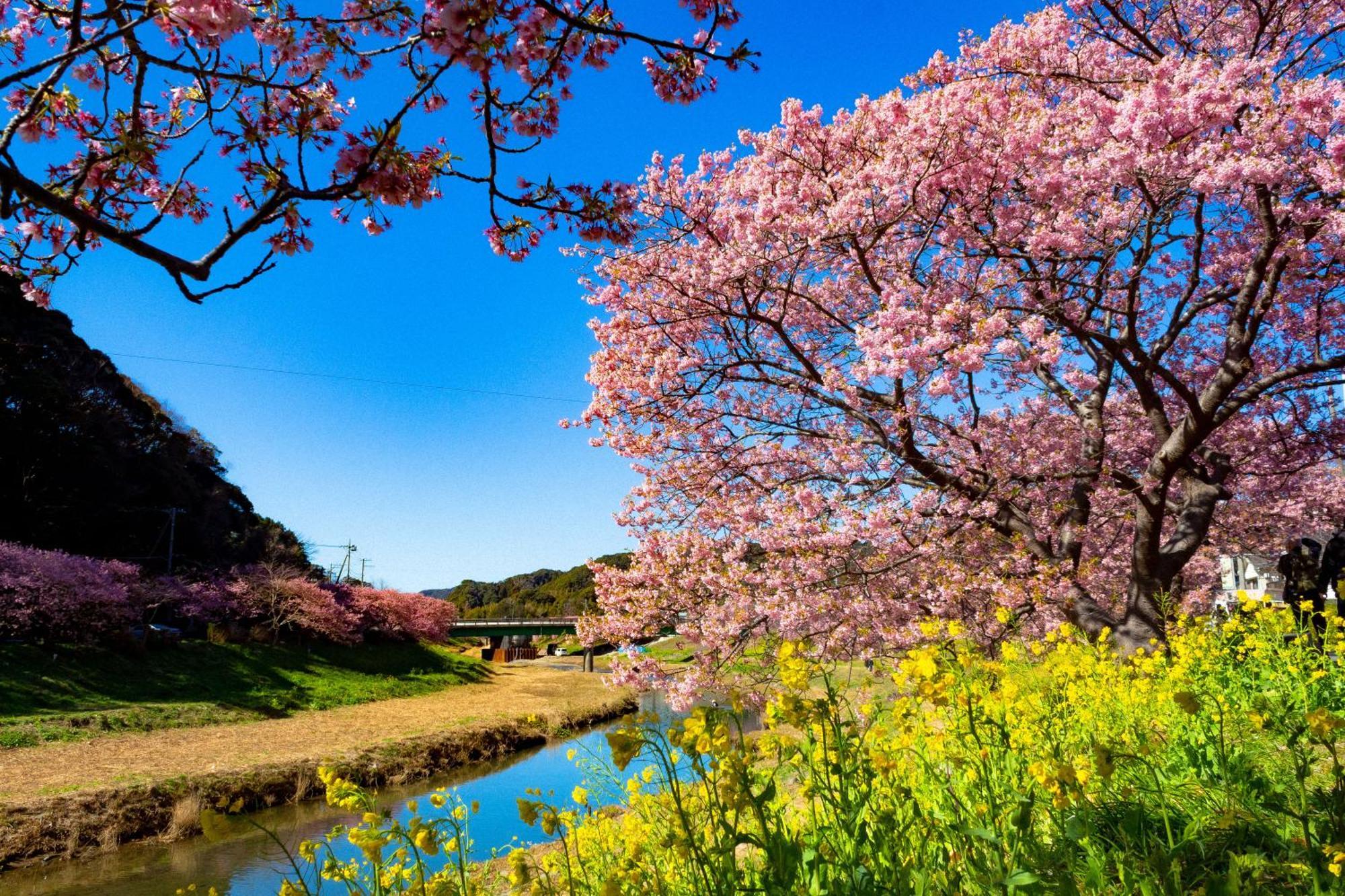 Hotel Izukyu Shizuoka Exteriör bild